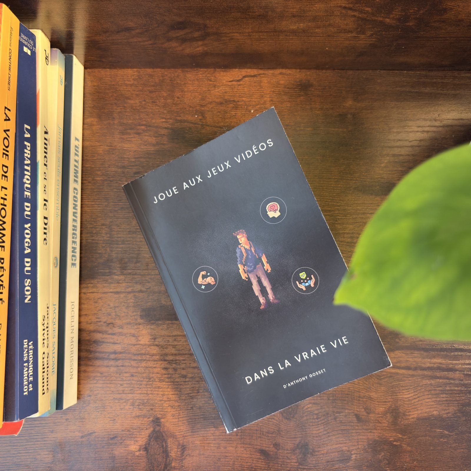 Le livre debout dans l'herbe au coucher de soleil