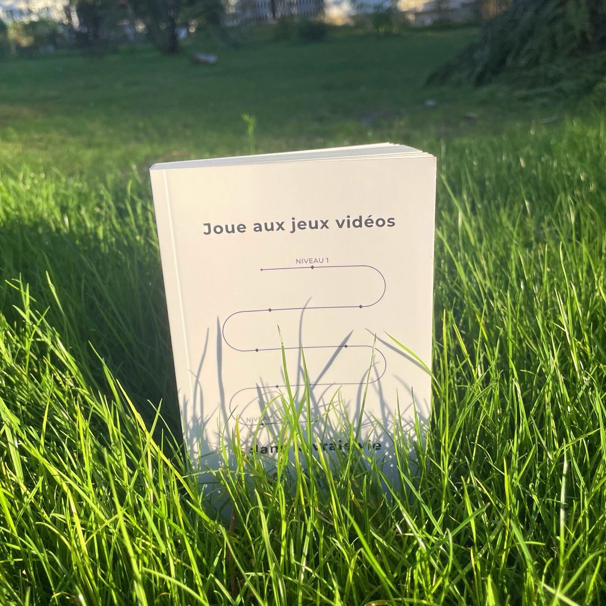 Le livre debout dans l'herbe au coucher de soleil